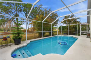 19014 CHEMILLE DRIVE, LUTZ, FL 33558 - MLS#MFRTB8479437