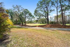 19014 CHEMILLE DRIVE, LUTZ, FL 33558 - MLS#MFRTB8479437