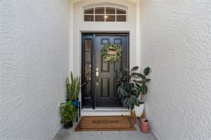 18617 LE DAUPHINE PLACE, LUTZ, FL 33558 - MLS#MFRTB8479441