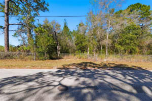 9255 GROUSE WAY, HUDSON, FL 34669 - MLS#MFRTB8479459