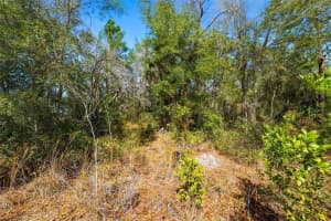 9255 GROUSE WAY, HUDSON, FL 34669 - MLS#MFRTB8479459