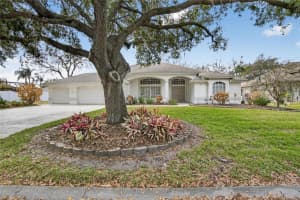 3303 CUMMINGS PLACE, PLANT CITY, FL 33566 - MLS#MFRTB8479464