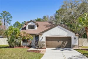 5620 ESSEX COURT, PALM HARBOR, FL 34685 - MLS#MFRTB8479480