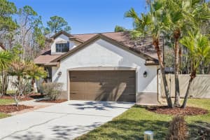 5620 ESSEX COURT, PALM HARBOR, FL 34685 - MLS#MFRTB8479480