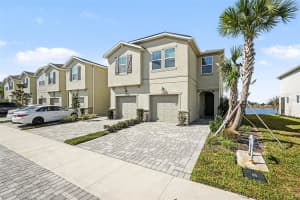 2361 SUMMERLIT STREET, LUTZ, FL 33558 - MLS#MFRTB8479499