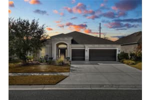 6333 Doe Path Ct, WESLEY CHAPEL