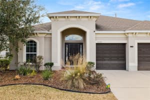 6333 DOE PATH COURT, WESLEY CHAPEL, FL 33545 - MLS#MFRTB8479502