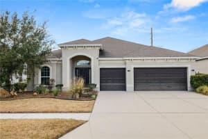 6333 DOE PATH COURT, WESLEY CHAPEL, FL 33545 - MLS#MFRTB8479502