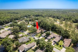 3071 BOLT DRIVE, PALM HARBOR, FL 34685 - MLS#MFRTB8479517