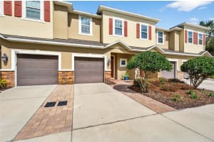 904 VINEYARD LANE, OLDSMAR, FL 34677 - MLS#MFRTB8479523