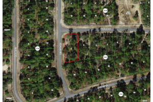 2896 HURON LANE, DUNNELLON, FL 34433 - MLS#MFRTB8479543