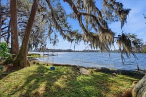 19513 DEER LAKE ROAD, LUTZ, FL 33548 - MLS#MFRTB8479553