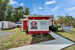 126 RIDGEWOOD AVENUE, BRANDON, FL 33510 - MLS#MFRTB8479570