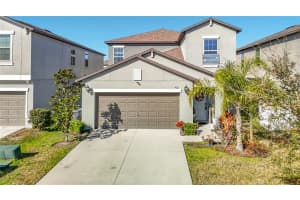 4211 Romano Busciglio St, TAMPA