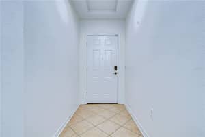 7809 TUSCANY WOODS DRIVE, TAMPA, FL 33647 - MLS#MFRTB8479630