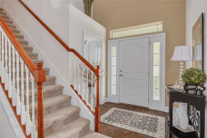 20215 NATURES SPIRIT DRIVE, TAMPA, FL 33647 - MLS#MFRTB8479638