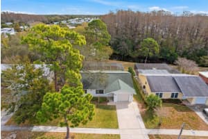 1373 DISSTON AVENUE, TARPON SPRINGS, FL 34689 - MLS#MFRTB8479666