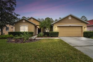 8106 Kendelwick Ct, TAMPA