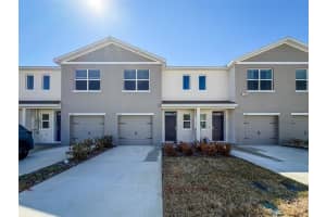 31276 Paper Birch St, WESLEY CHAPEL