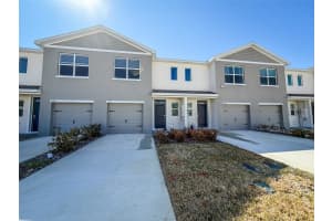 31276 PAPER BIRCH STREET, WESLEY CHAPEL, FL 33545 - MLS#MFRTB8479676