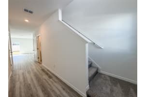 31276 PAPER BIRCH STREET, WESLEY CHAPEL, FL 33545 - MLS#MFRTB8479676