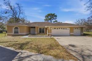20000 HARVIE LANE, LUTZ, FL 33558 - MLS#MFRTB8479690