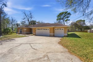 20000 HARVIE LANE, LUTZ, FL 33558 - MLS#MFRTB8479690