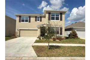 33333 Field Maple Loop, WESLEY CHAPEL 33333 Field Maple Loop, WESLEY CHAPEL