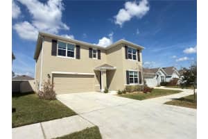 33333 FIELD MAPLE LOOP, WESLEY CHAPEL, FL 33545 - MLS#MFRTB8479692