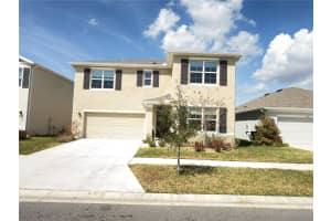 33333 FIELD MAPLE LOOP, WESLEY CHAPEL, FL 33545 - MLS#MFRTB8479692