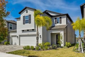 3139 MARINE GRASS DRIVE, WIMAUMA, FL 33598 - MLS#MFRTB8479712