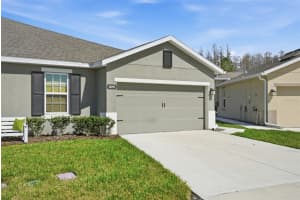 18093 TURNING LEAF CIRCLE, LAND O LAKES, FL 34638 - MLS#MFRTB8479740