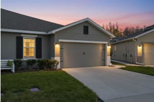 18093 TURNING LEAF CIRCLE, LAND O LAKES, FL 34638 - MLS#MFRTB8479740