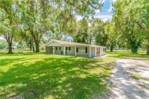 1453 CREEK ROAD, WESLEY CHAPEL, FL 33543 - MLS#MFRTB8479752