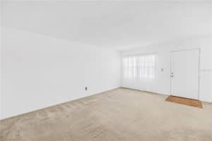 4920 LOCUST STREET, ST PETERSBURG, FL 33703 - MLS#MFRTB8479755