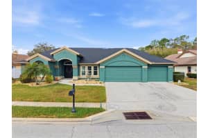 1319 Hoversham Dr, NEW PORT RICHEY