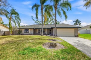 22440 STILLWOOD DRIVE, LAND O LAKES, FL 34639 - MLS#MFRTB8479784