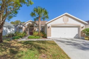 7007 POTOMAC CIRCLE, RIVERVIEW, FL 33578 - MLS#MFRTB8479824