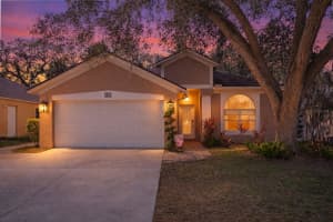 5801 ERHARDT DRIVE, RIVERVIEW, FL 33578 - MLS#MFRTB8479863