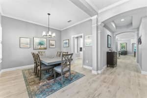 14680 CANOPY DRIVE, TAMPA, FL 33626 - MLS#MFRTB8479867