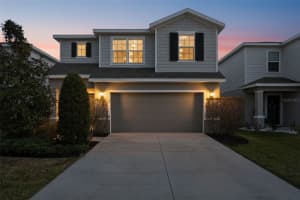 10402 HAWKS LANDING DRIVE, LAND O LAKES, FL 34638 - MLS#MFRTB8479873