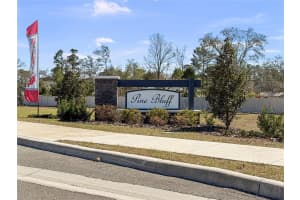 4391 SUTHERLAND STREET, SPRING HILL, FL 34609 - MLS#MFRTB8479884