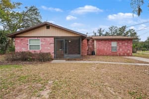 209 CLEMONS ROAD, BRANDON, FL 33510 - MLS#MFRTB8479902
