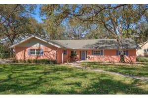 1921 CARDINAL ROAD, DUNEDIN, FL 34698 - MLS#MFRTB8479956
