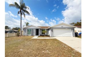 8202 Almond Pl, TAMPA 8202 Almond Pl, TAMPA