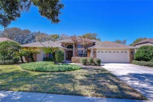 3813 TURKEY OAK DRIVE, VALRICO, FL 33596 - MLS#MFRTB8480056