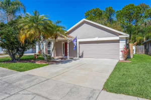 9739 FREDERICKSBURG ROAD, TAMPA, FL 33635 - MLS#MFRTB8480060