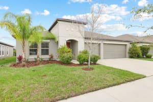 16640 CARLTON POND STREET, WIMAUMA, FL 33598 - MLS#MFRTB8480077