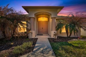 317 CARRIAGE CROSSING CIRCLE, BRANDON, FL 33510 - MLS#MFRTB8480102