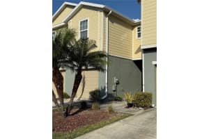 4906 WHITE SANDERLING COURT, TAMPA, FL 33619 - MLS#MFRTB8480117